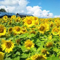 taka (@nogu2000) Twitter profile photo