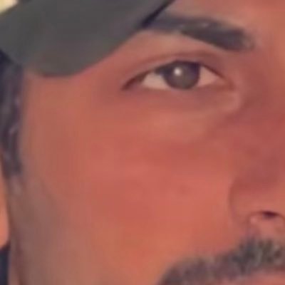 marjadvn's profile picture. 