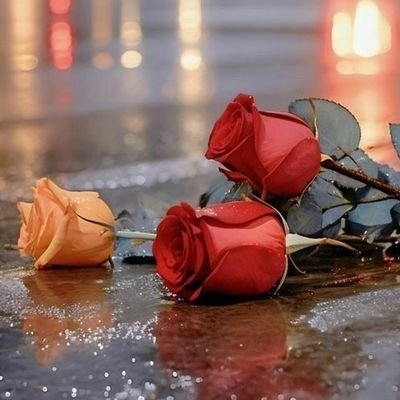 Afnan99257468's profile picture. اطیعواللہ واطیعوالرسول