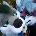 Denki_wolf (@fox_tappy50997) Twitter profile photo Denki_wolf (@fox_tappy50997) Twitter profile photo