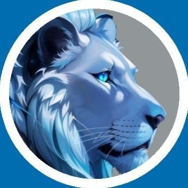 BluNSilver™️ Profile