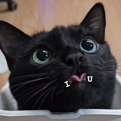 kkaikayy's profile picture. just here for memes 😏