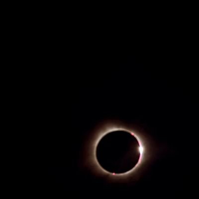 fabsamba's profile picture. The humor is the exact size of the human intelligence. O humor é a exata medida da inteligencia humana (Nietzsche)