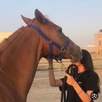 ميمو ❤️ (@mymws7139) 's Twitter Profile Photo ميمو ❤️ (@mymws7139) 's Twitter Profile Photo