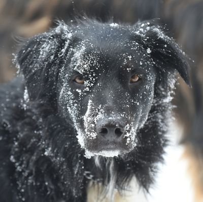 CooperEngl54422's profile picture. 