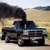 DaFook 🇺🇸 NC (@whatdafooknc) 's Twitter Profile