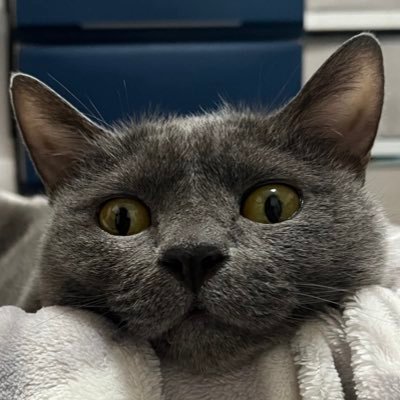 kei_fpg's profile picture. I'm gone fishing.