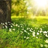 お金を引き寄せる秘訣やおトク情報など共有したりしています。自分がお金に苦労した経験から生活に苦しんでいる方の力になれればと思い、多少ですが現金プレゼント企画を始めました! フォロワーさん優先➡ https://t.co/0Ed7RG6LVb