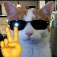 jams (@kitkatonfn) 's Twitter Profile Photo jams (@kitkatonfn) 's Twitter Profile Photo
