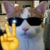 jams (@kitkatonfn) Twitter profile photo jams (@kitkatonfn) Twitter profile photo