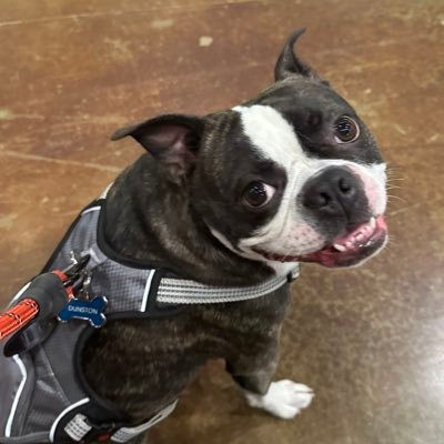 Nate1337Dawg's profile picture. Interested in intelligence and information sharing