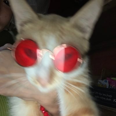 ᴾʳᵉᵗᵗʸ ᶠʳᵒᵐ ᵃᶠᵃʳ,ᶠᵃʳ ᶠʳᵒᵐ ᵖʳᵉᵗᵗʸ. |⁰⁷⁻²⁹⁻⁰² ᴾʰⁱˡⁱᵖᵖⁱⁿᵉˢ
📷
ᴵᴳ: mryjnelyn