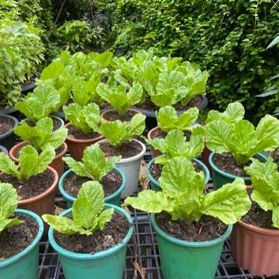 yo3351424233600's profile picture. 