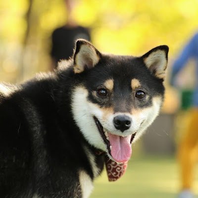 tqEVPm3Jcp40180's profile picture. 