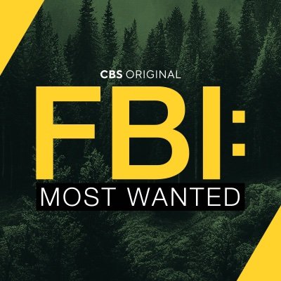 FBI: Most Wanted Profile