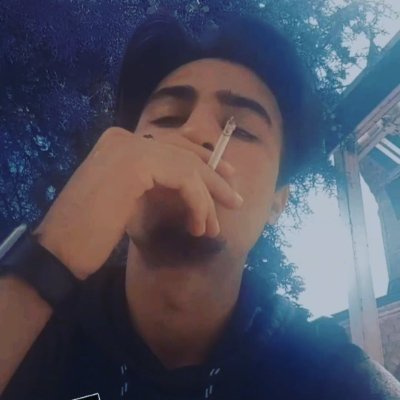 msbieber929's profile picture. 