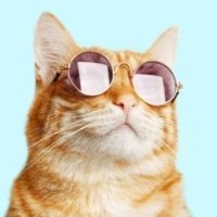 AS74🇱🇹🇺🇦 LIFE #2 (@as74lifenumber2) 's Twitter Profile