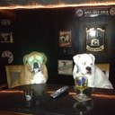 Gary Carpenter - @GaryCarp64 - Twitter