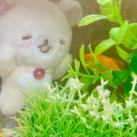 すぴ💫 (@rilatan_xxx) 's Twitter Profile