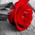 rathod pravin (@rathodpravin5) Twitter profile photo rathod pravin (@rathodpravin5) Twitter profile photo