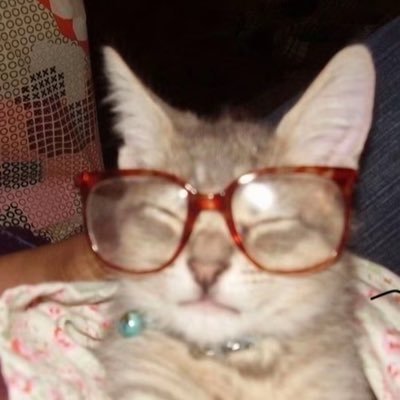 Levinprv's profile picture. 