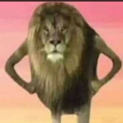 chrisorheinz's profile picture. Miss playing on the pitch, pilfering the pill. N.B. '94-'13