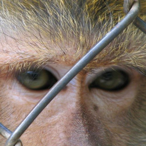 MarcSanna's profile picture. 