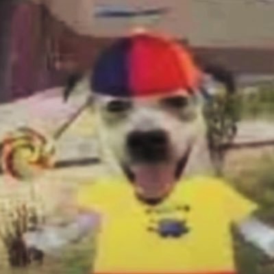 cephalojuulpod's profile picture. whoever named “rabbits” absolutely nailed it
