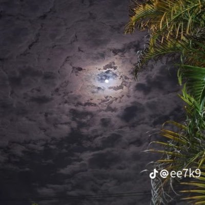 Mok_kw's profile picture. 