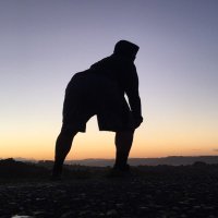 polydeelow (@polydeelow) 's Twitter Profile