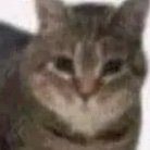 Hhehdh97808913's profile picture. 