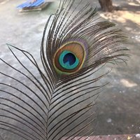 sawan kumar (@sabarwalsawan) 's Twitter Profile