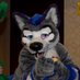 Dirty and the D (@dirtypawsd) Twitter profile photo Dirty and the D (@dirtypawsd) Twitter profile photo
