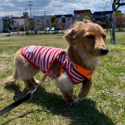 MichikoMuk41832's profile picture. 