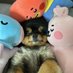 Yeontan's Eomma 🐻💜 (@rjsjjvj_bts____) Twitter profile photo Yeontan's Eomma 🐻💜 (@rjsjjvj_bts____) Twitter profile photo