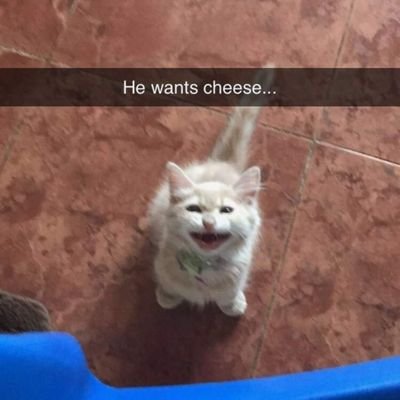 ngingoihnh99775's profile picture. 