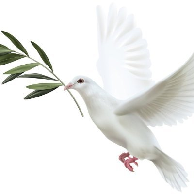 Masi0025's profile picture. Reporting on wars and peace, human rights and abuses where ever it maybe.