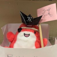 Pink (@pinks8n) 's Twitter Profile