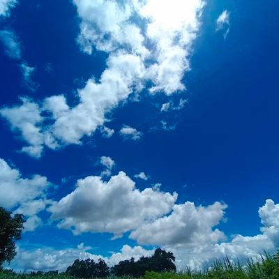 SparkplusL22545's profile picture. The Way Of spArk....⚡
