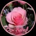 . (@omrahaf102) Twitter profile photo . (@omrahaf102) Twitter profile photo