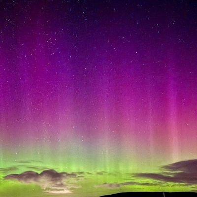 r_d_etre's profile picture. 