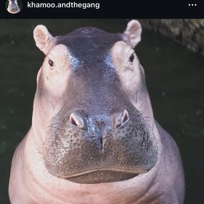 K10_N13's profile picture. เจ็บแล้วต้องจำ
เมื่ออายุเกิน20แล้ว ก็เป็นแค่คนธรรมดา

2025 ข้าอยากได้ระบบ😩