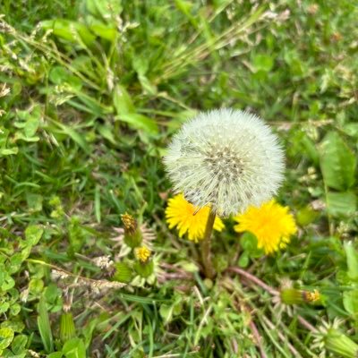 Cardio1320's profile picture. 雑草魂/亀のように/OpenCath Instructor この道を泣きつつ我の行きしこと 我がわすれなばたれか知るらむ/負けないこと投げ出さないこと逃げ出さないこと信じ抜くこと