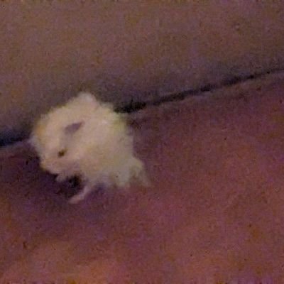 0294Joel's profile picture. 函館市在住です。