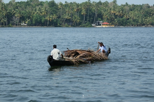 Socdevnet's profile picture. 