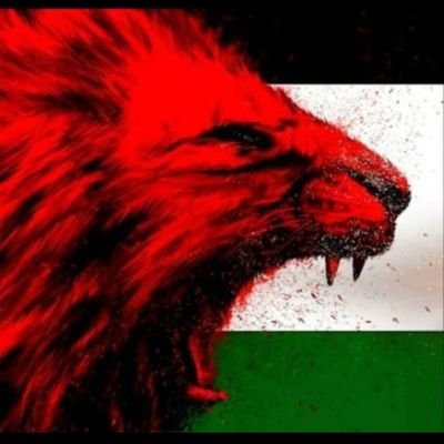 مِنْ شِيْعَة عَلِيّ بِنْ أََبي طَالِبْ🩶
‼️TRUTH sounds like hate to those who hate the TRUTH