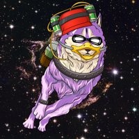Wise Guy (@wiselyguy) 's Twitter Profile