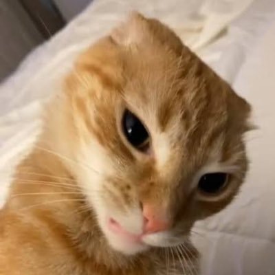 Naiad_Nemea's profile picture. Mühendis Hanım 👷🏻‍♀️ #TheCode🏴‍☠️  @GalatasaraySK