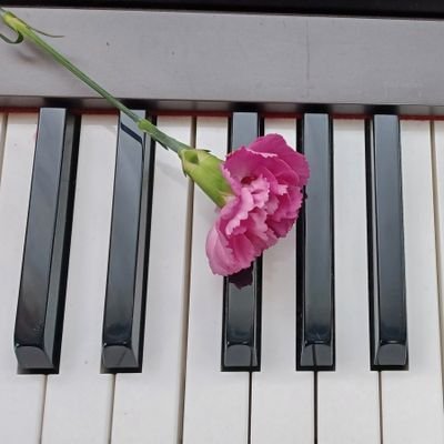 中学で🎹習うのをやめてから映画音楽等にハマり、勉強も音楽も最底辺で行ける小音を卒業。息子が3歳の時に電子ピアノをもらい、趣味で再開。R3年線維筋痛症で弾けなくなったけどR6年に寛解し自己練再開/YouTubeに好きな曲Upしてます🎶