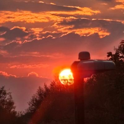 CSince1986's profile picture. 